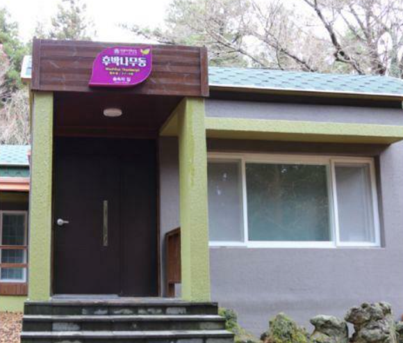 서귀포 자연휴양림 숙소·캠핑장·예약부터 산책코스·주변맛집까지 한눈에!