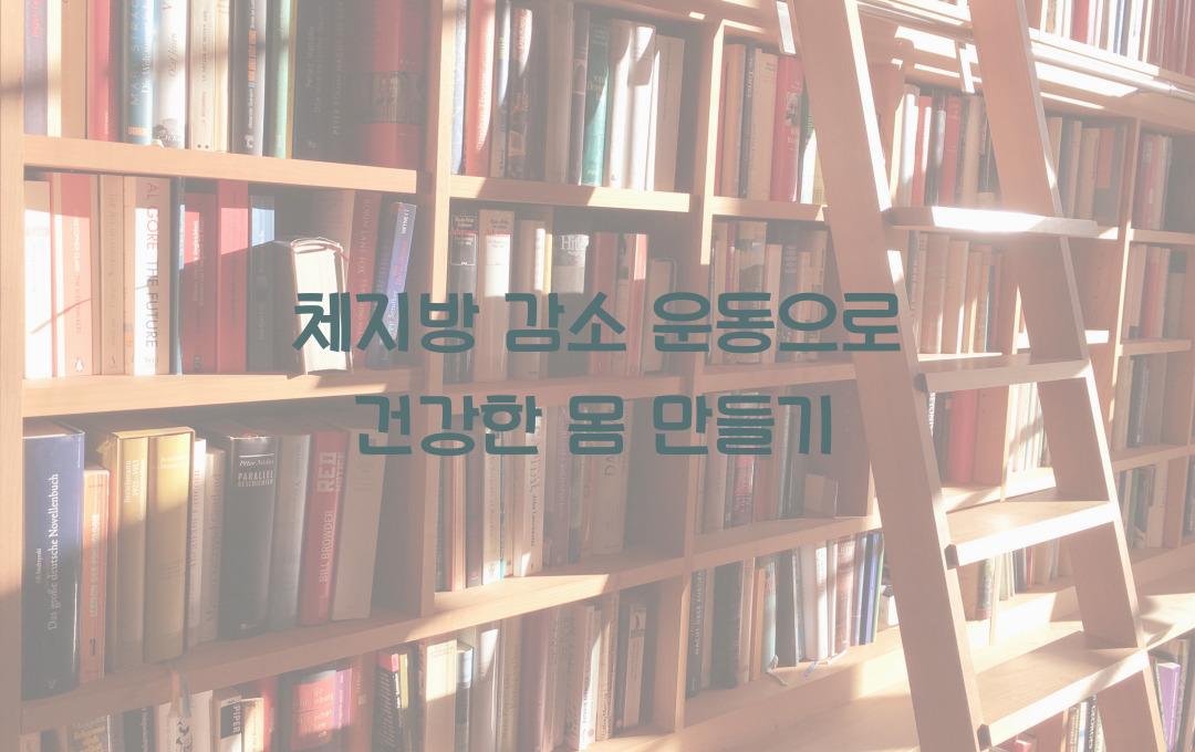 체지방 감소 운동