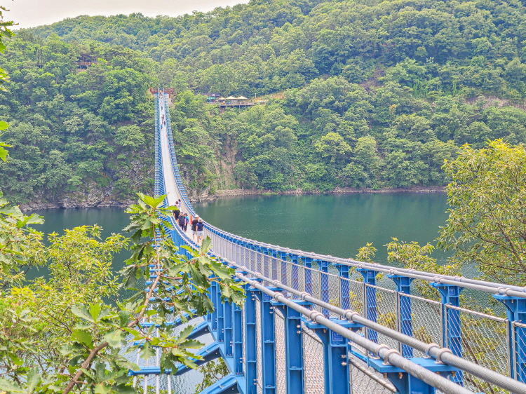 진천 출렁다리