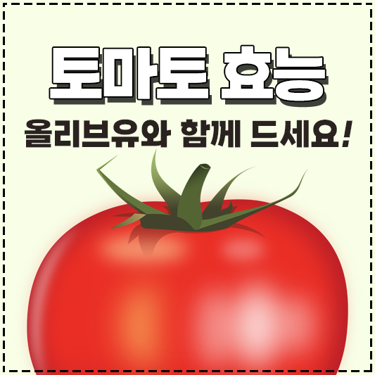 토마토 효능 올리브유 올리브오일과 함께