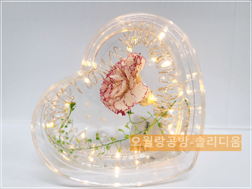 투톤카네이션
솔리디움
냉이초
하트조명
오월랑공방