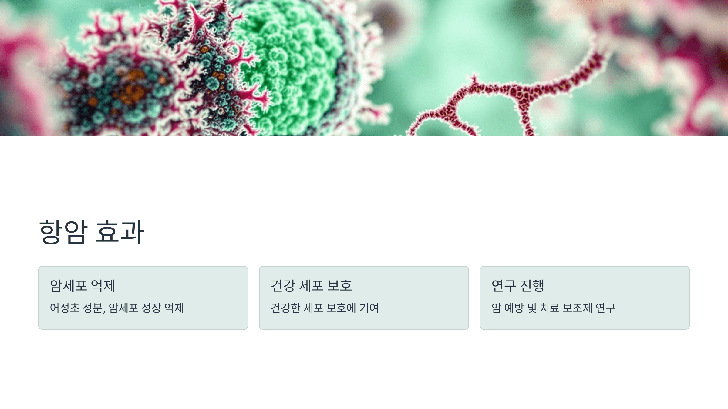 어성초 사진입니다.