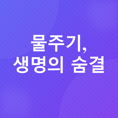 베란다텃밭_3