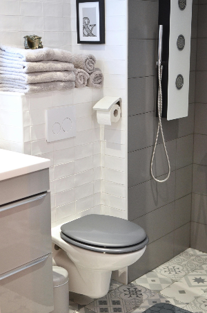 스위스에서 밤 10시이후 변기 물 내리면 불법일까