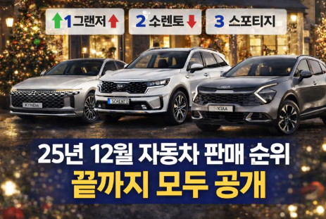 25년 12월 자동차 판매량 순위