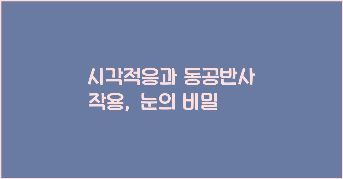시각적응, 동공반사 작용