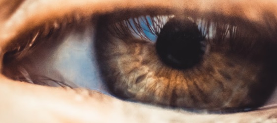 망막 색소변성증 예방