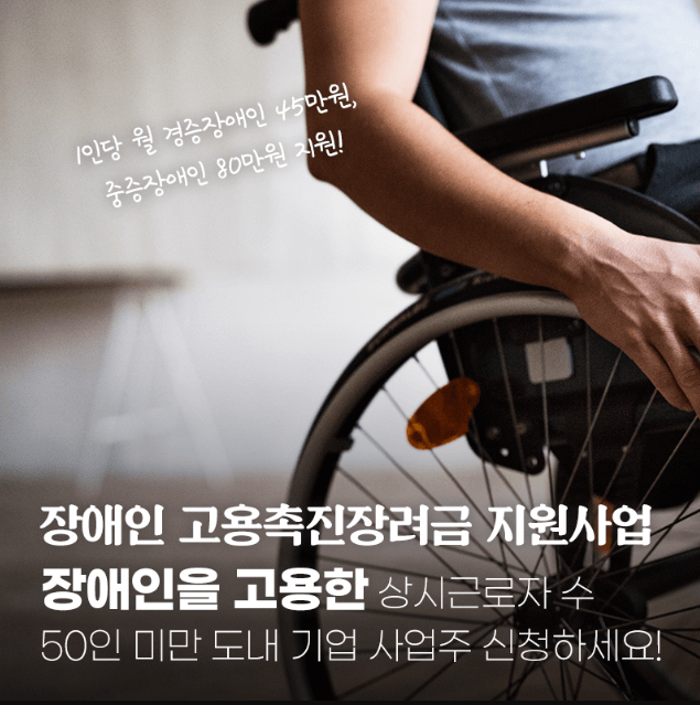 홍천군 장애인 고용촉진장려금 지원제도 안내 관련기사
