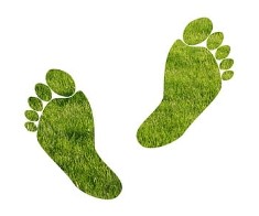 탄소중립실천포인트