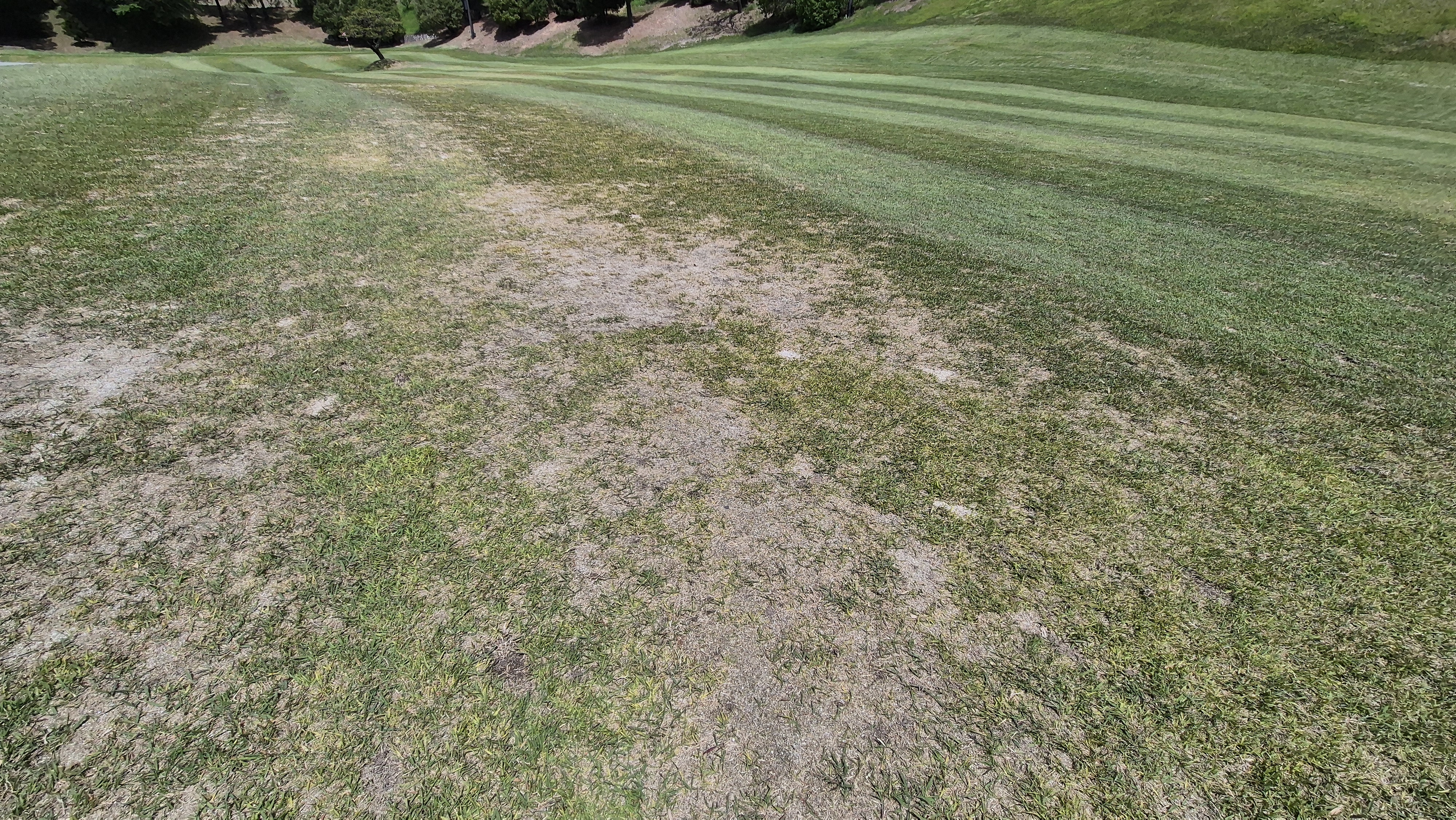 한원cc 라운드후기