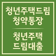 청년의 내집 마련 정책