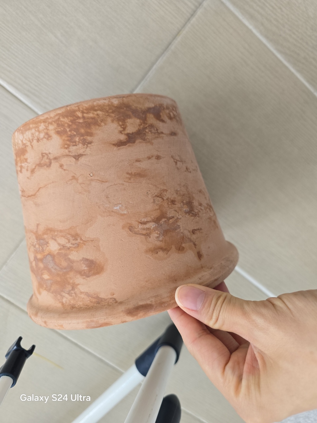 하루가지난 후 토분모습