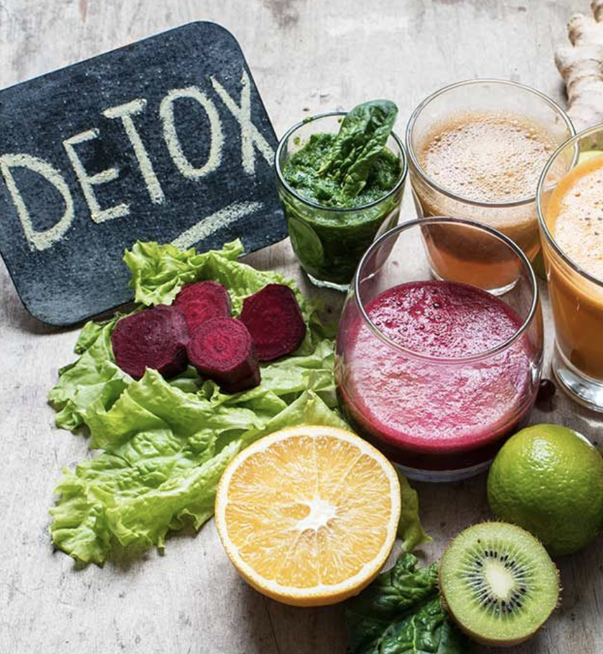 식물식 vs 팔레오, 2025 건강트렌드