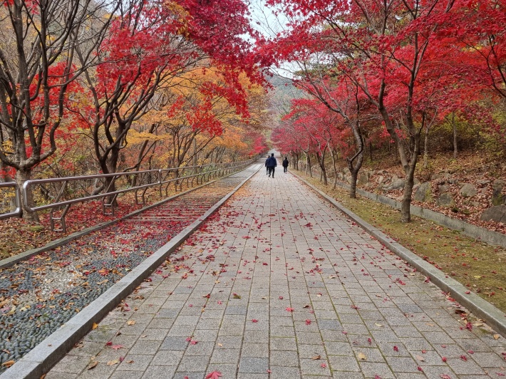 주차장-가는-길