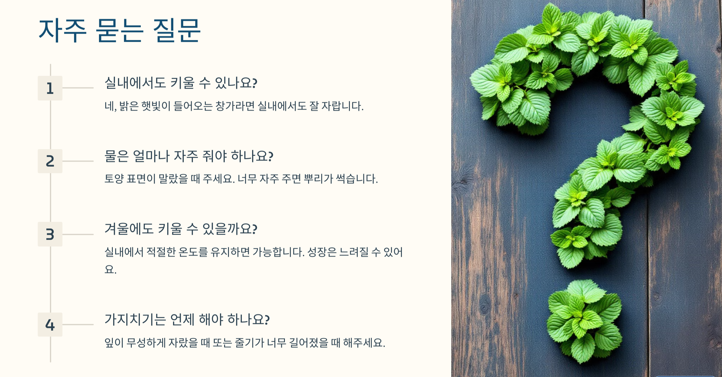 페퍼민트