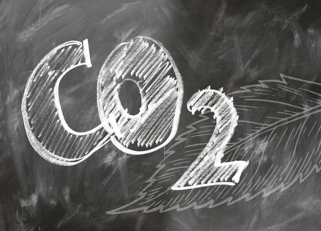 탄소중립실천포인트