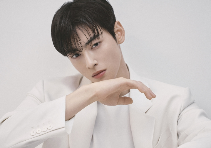 차은우 조세심판 청구 진행 상황과 130억 원 추징금 불복 배경 분석 참고 이미지 2