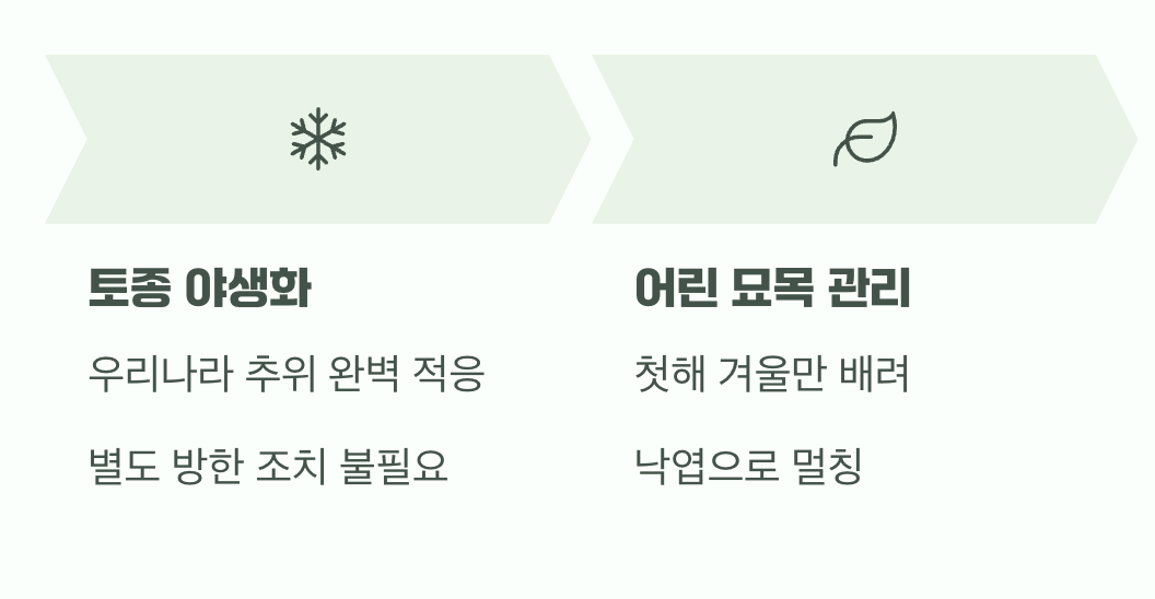 추운 겨울도 거뜬하게&amp;#44; &amp;#39;월동&amp;#39;