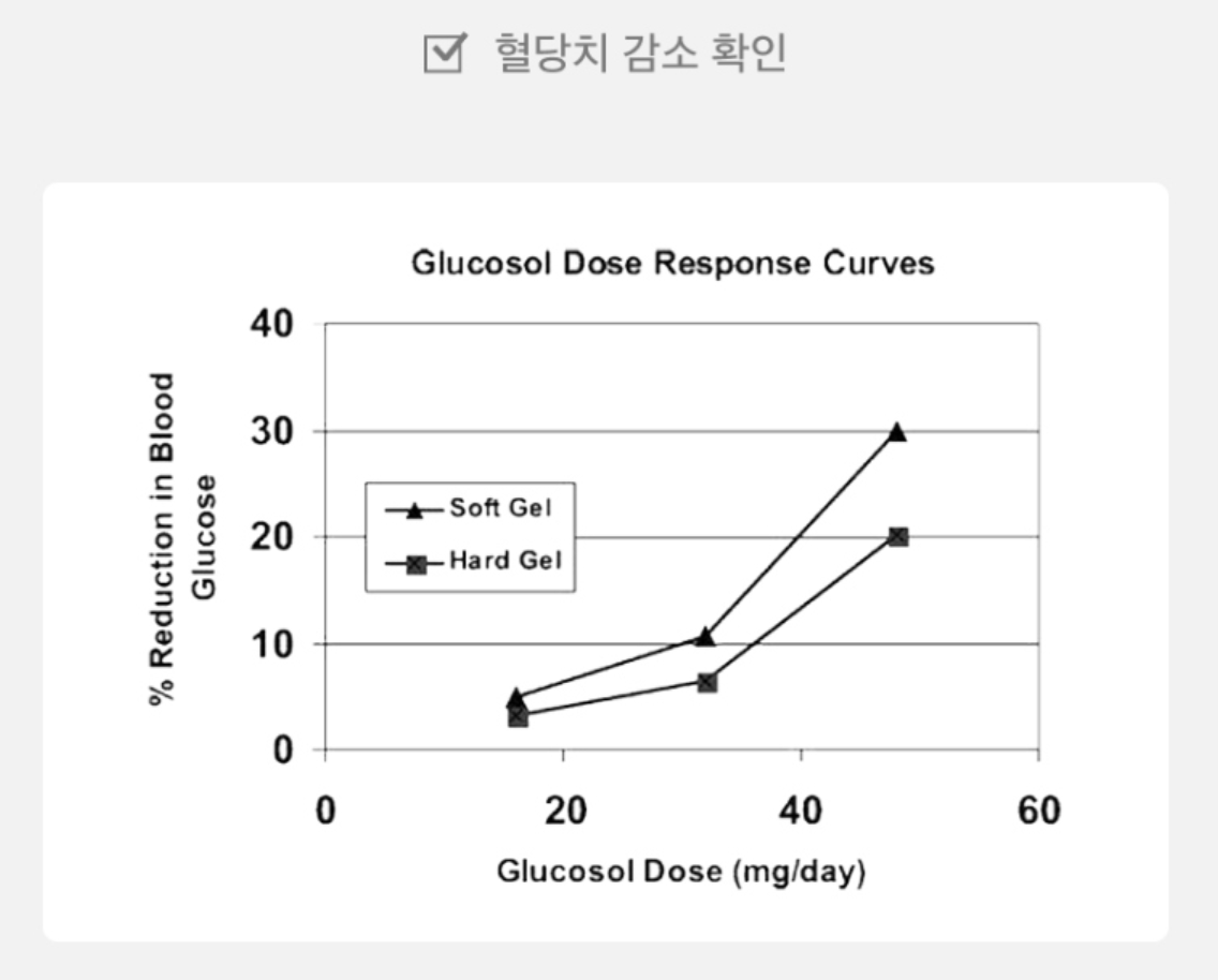 순환핏 후기 다이어트 