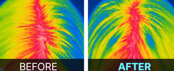 효과적인 사용법