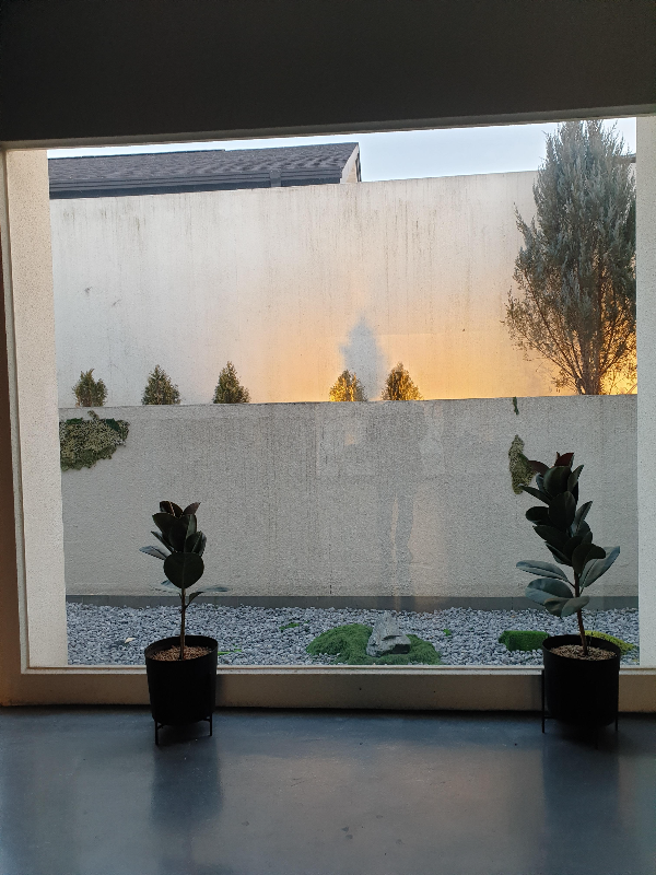 창밖에 다른 담이 보이는 공간. 