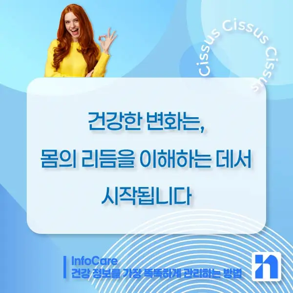 시서스 효능