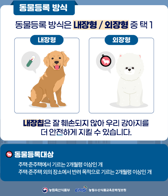 반려동물-등록