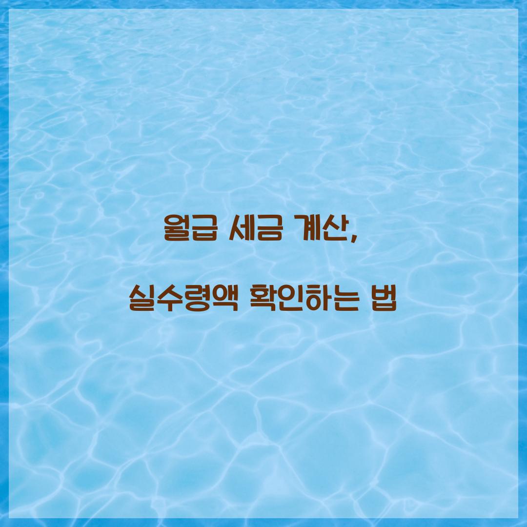 월급 세금 계산