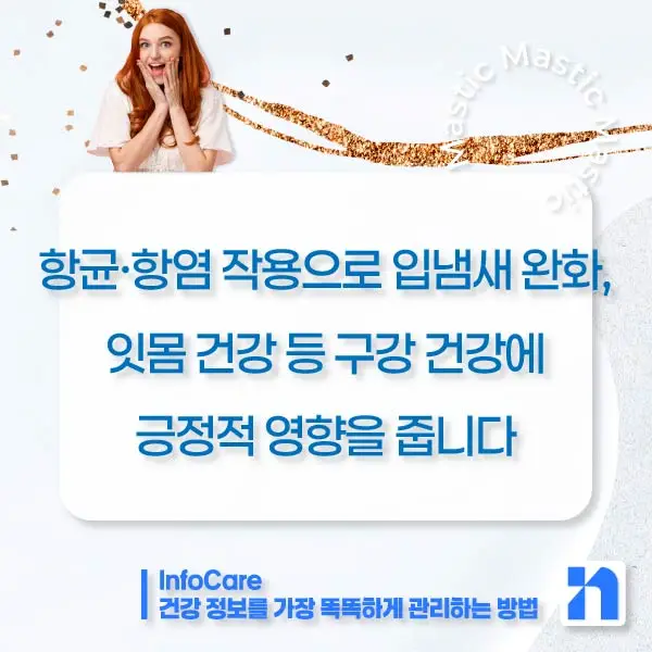 매스틱 효능 복용법 매스틱검