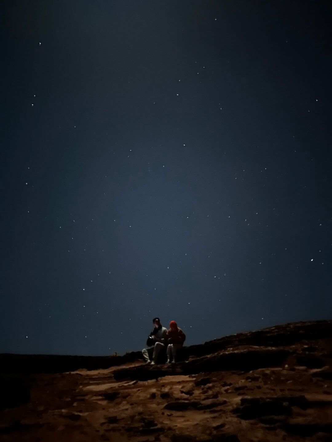 호주 퍼스 여행정보&amp;#44; 쿼카 로트네스트 섬&amp;#44; 칼바리 피나클스 투어