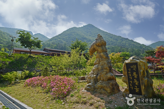 평창 가볼만한곳 베스트10