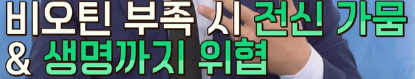 비오틴