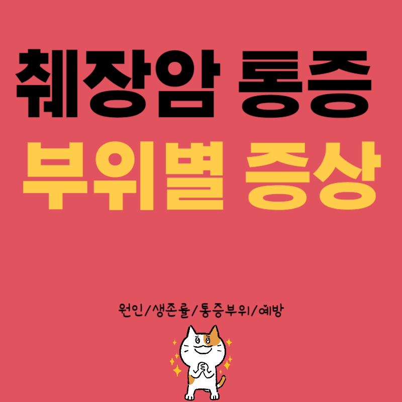췌장암 통증 부위
