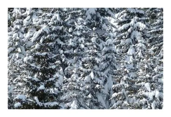 겨울에 듣기 좋은 노래