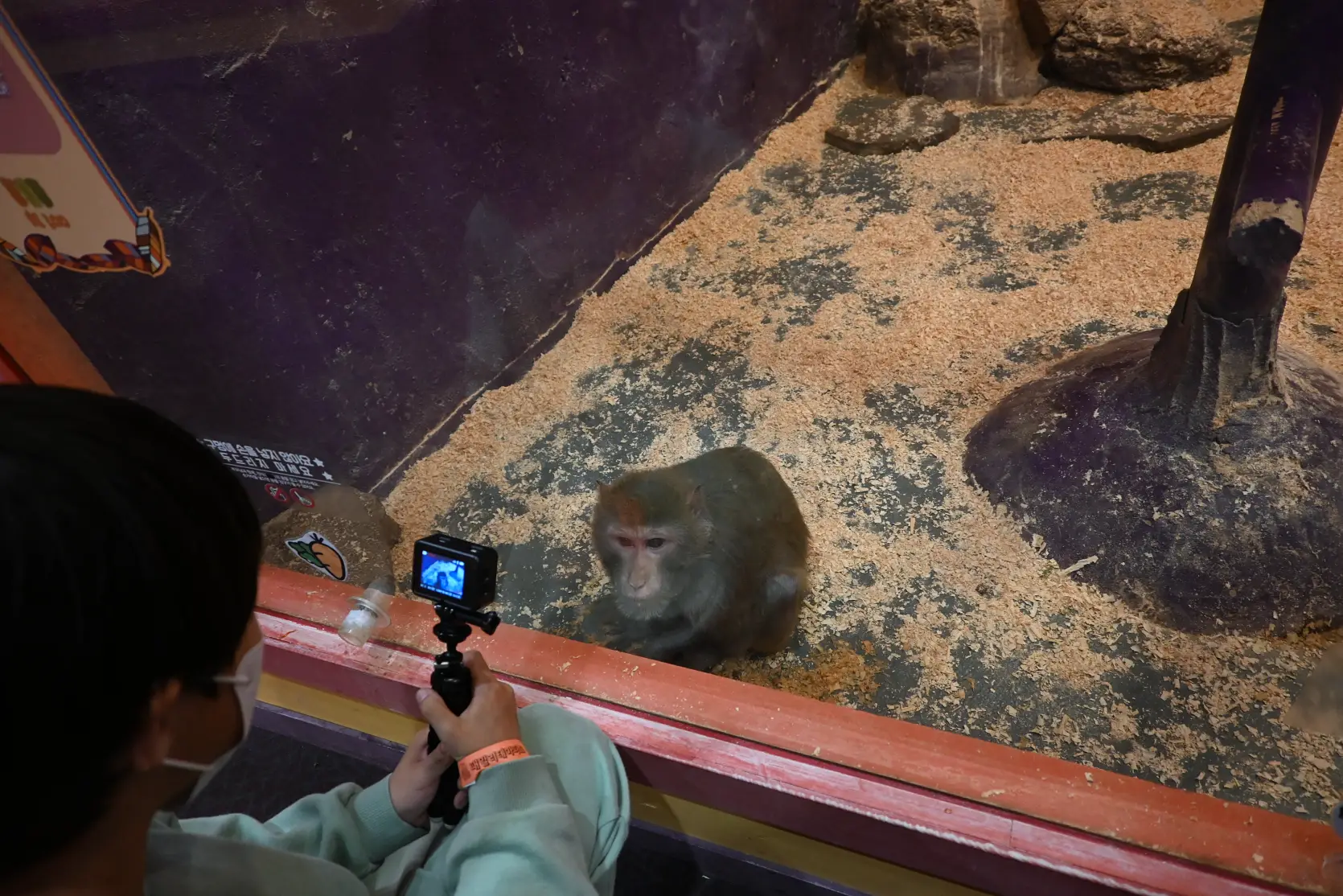 기흥 하이브패밀리 테마파크 온가족이 즐기는 동물원이 있는 키즈카페 사진 11