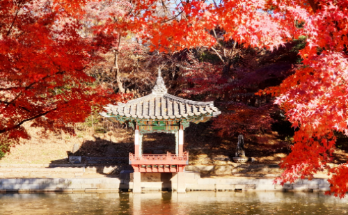 창덕궁 후원 예약