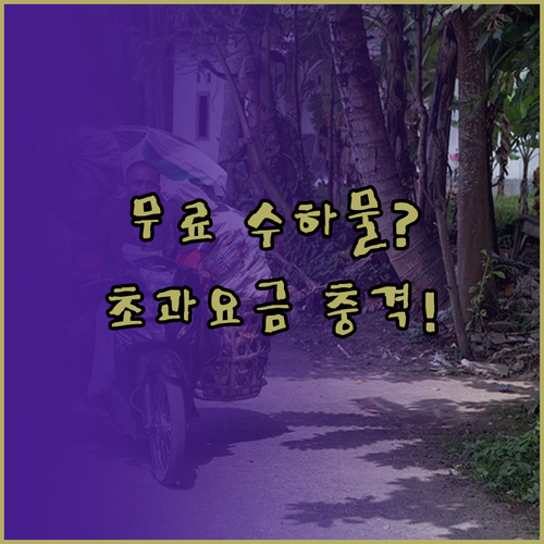 파라타항공 위탁수하물 무료 허용량과 ..