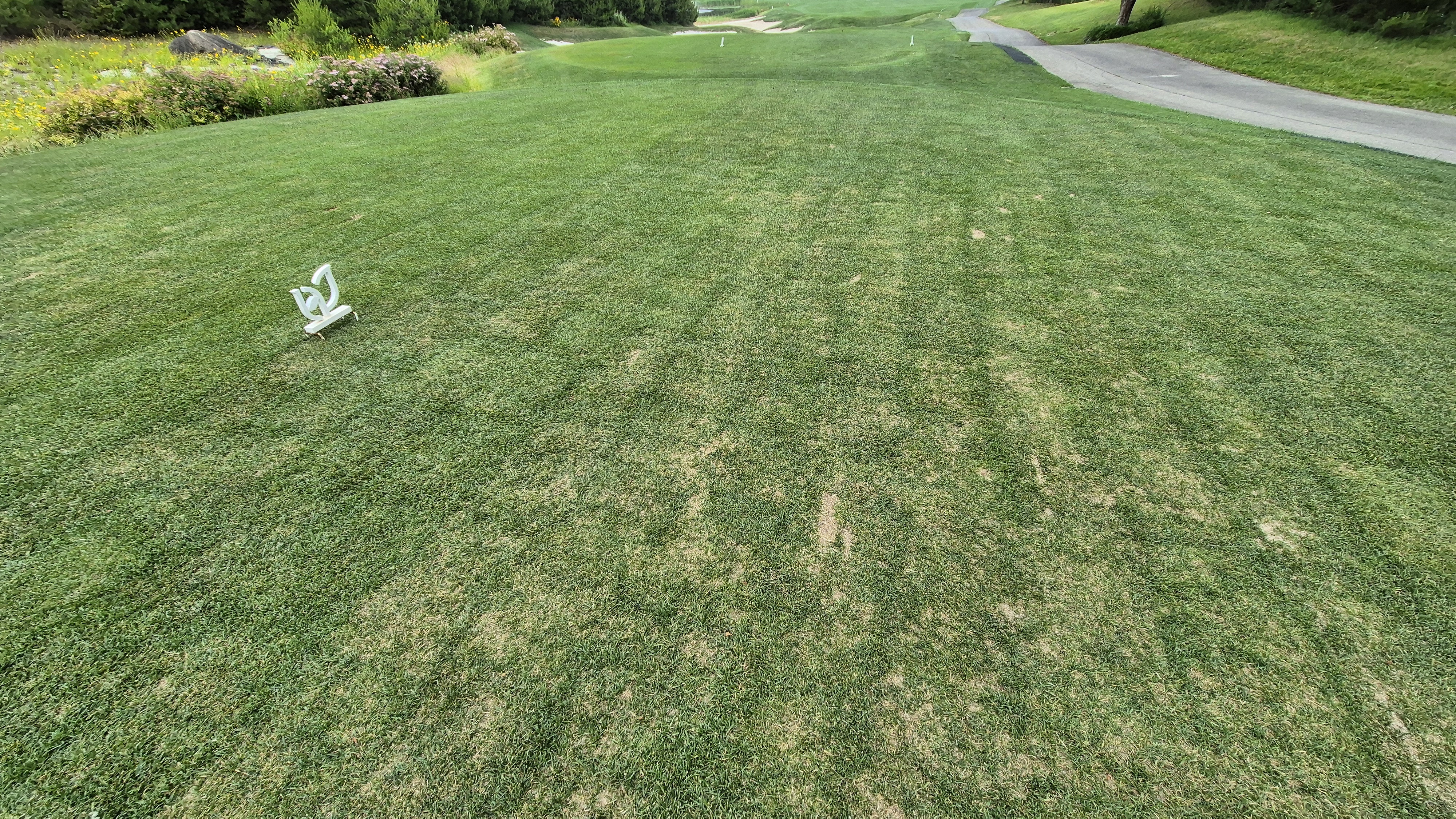 파인리즈cc 라운드 후기