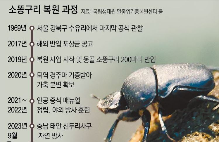 소똥구리 보호와 복원 프로젝트