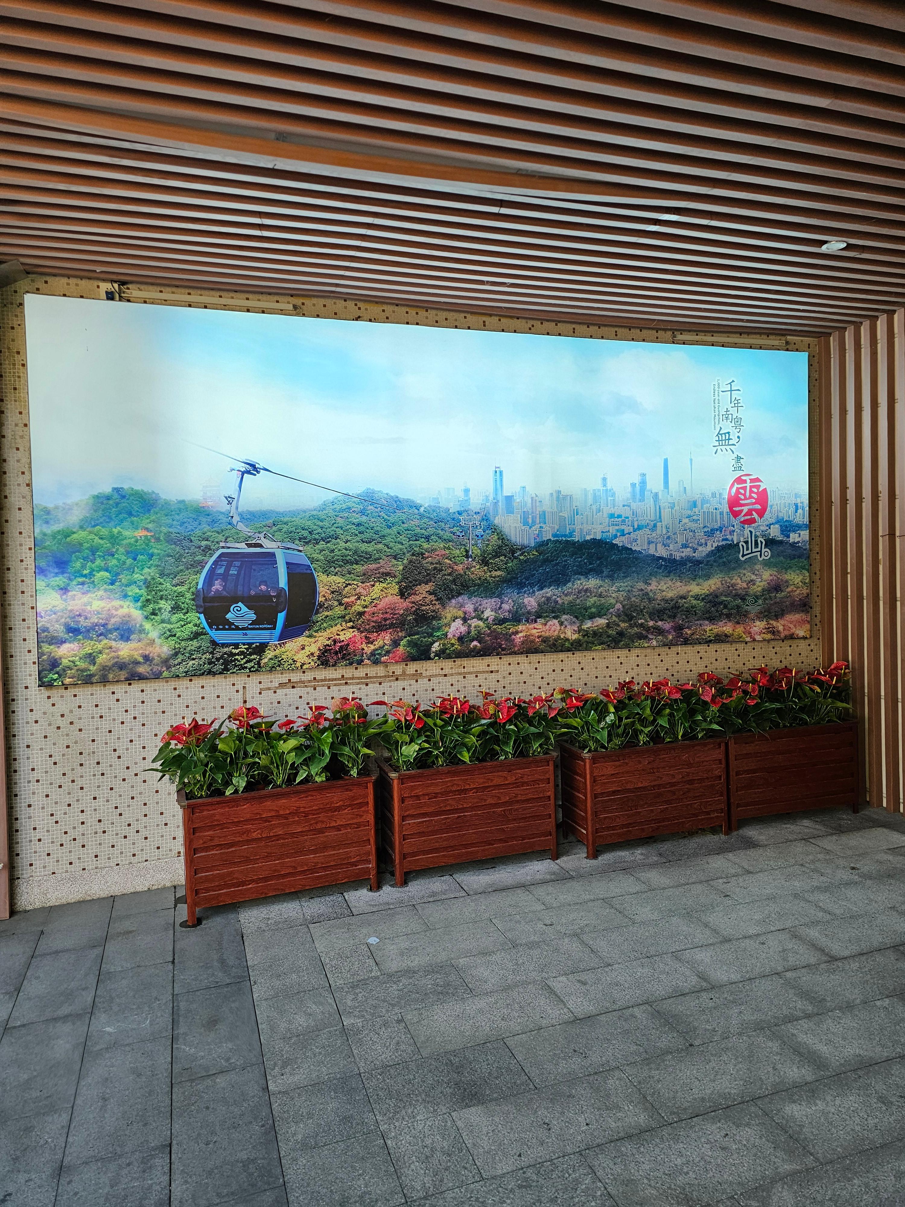 바이윈산 케이블카 타고 후기