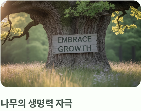 가시오갈피&amp;#44; 왜 가지치기가 필수일까?