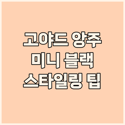 고야드 앙주 백 미니 블랙 국내 백화