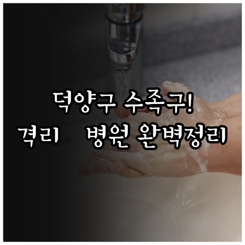 덕양구 수족구 유행 대비 격리 기간 ..