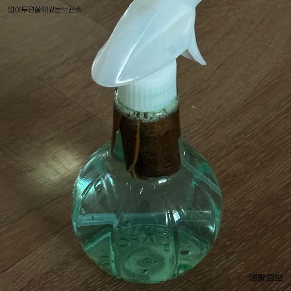 초파리 날파리 제거방법 다이소 리스테린 초파리싹