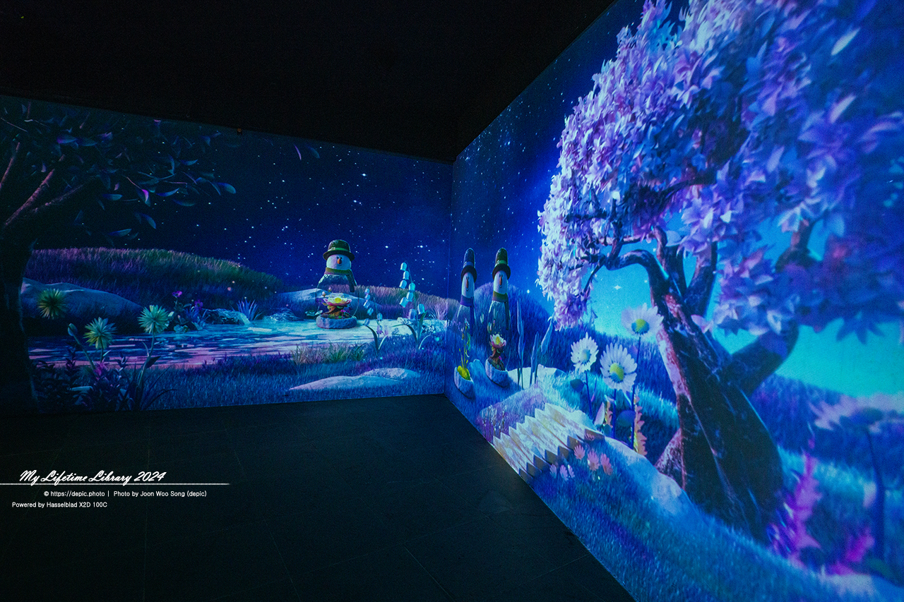 크리스마스 트리 순천만국가정원 식물원