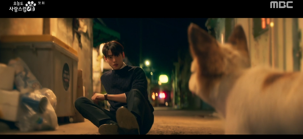 오늘도 사랑스럽개