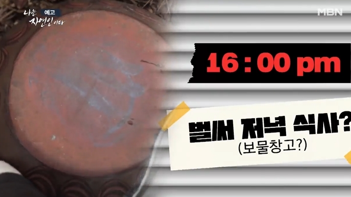 나는자연인이다-자연인-정인택-그토록원했던숲
