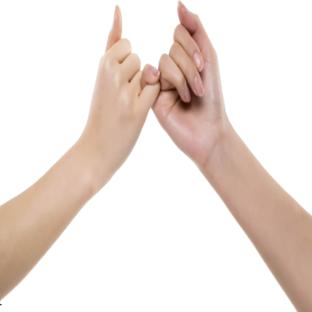 탄핵소추안 의미, 탄핵 절차 정리