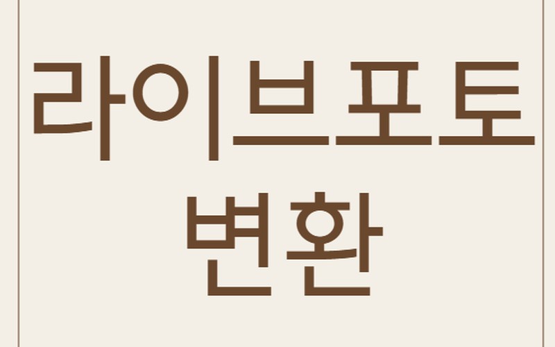 라이브 포토를 GIF, 동영상으로 변환하는 방법 및 아이폰 꿀팁 정리 -