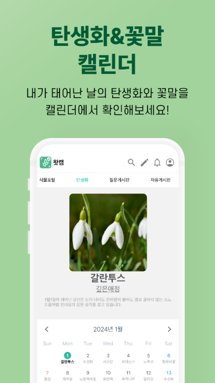 식물이름 찾기 어플, 식물도감 식물조회